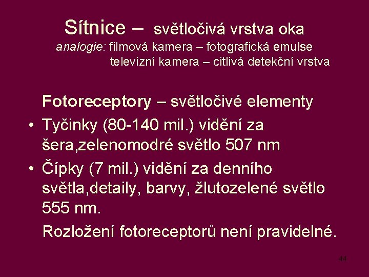 Sítnice – světločivá vrstva oka analogie: filmová kamera – fotografická emulse televizní kamera –