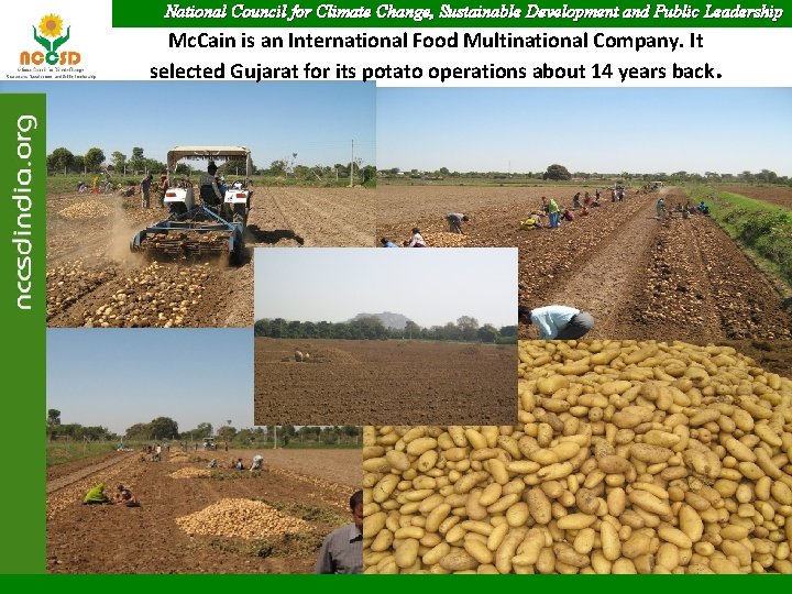 National Council for Climate Change, Sustainable Development and Public Leadership Mc. Cain is an