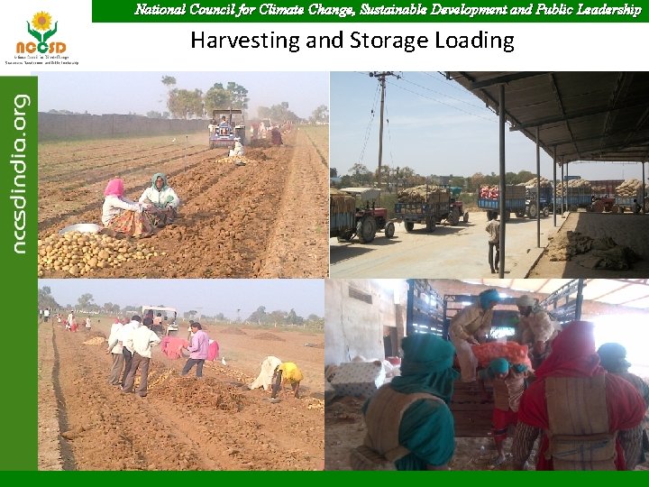 National Council for Climate Change, Sustainable Development and Public Leadership Harvesting and Storage Loading