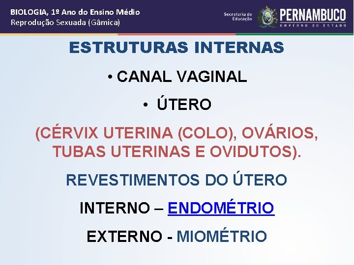 BIOLOGIA, 1º Ano do Ensino Médio Reprodução Sexuada (Gâmica) ESTRUTURAS INTERNAS • CANAL VAGINAL