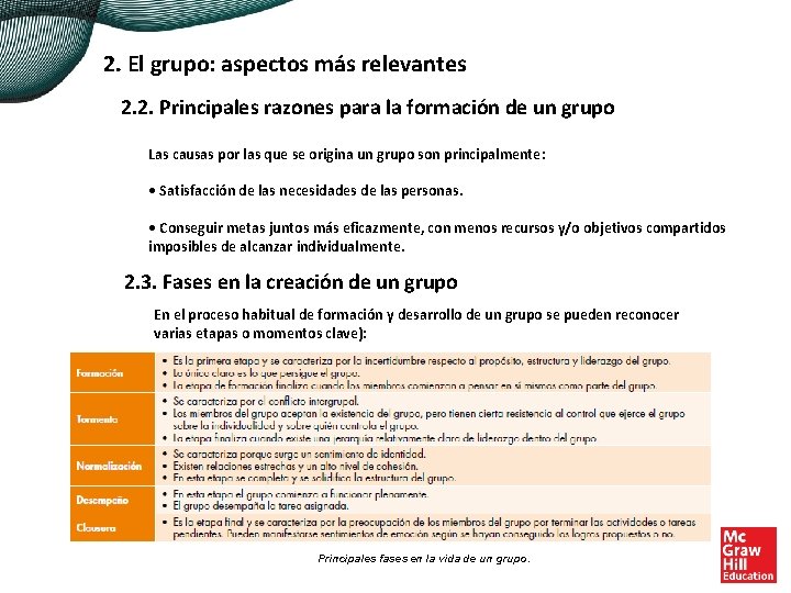 2. El grupo: aspectos más relevantes 2. 2. Principales razones para la formación de