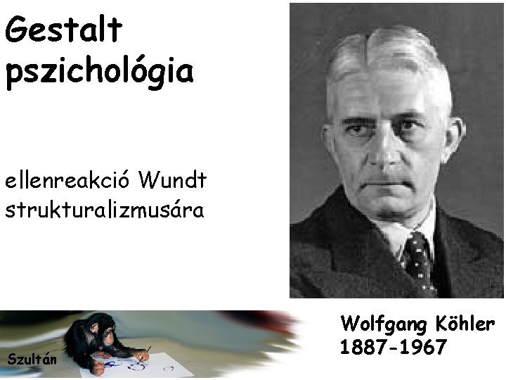 Gestalt pszichológia ellenreakció Wundt strukturalizmusára Szultán Wolfgang Köhler 1887 -1967 