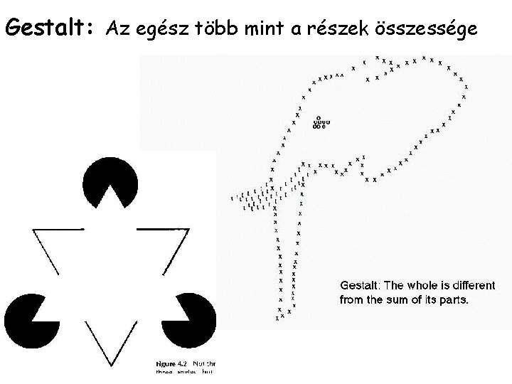 Gestalt: Az egész több mint a részek összessége 