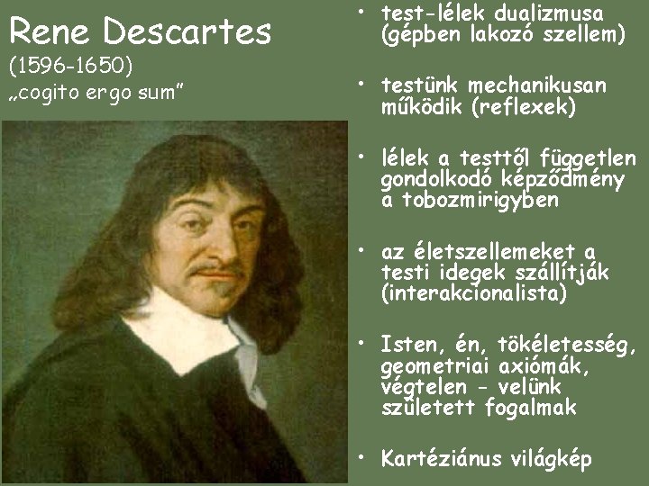 Rene Descartes (1596 -1650) „cogito ergo sum” • test-lélek dualizmusa (gépben lakozó szellem) •