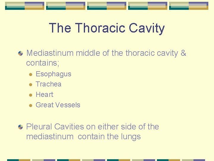 The Thoracic Cavity Mediastinum middle of the thoracic cavity & contains; l l Esophagus