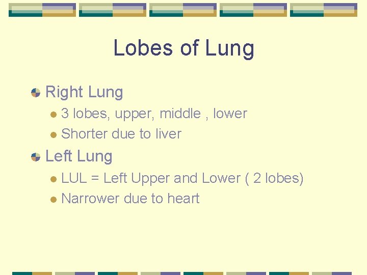 Lobes of Lung Right Lung 3 lobes, upper, middle , lower l Shorter due