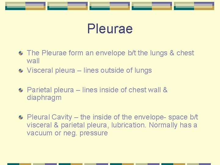 Pleurae The Pleurae form an envelope b/t the lungs & chest wall Visceral pleura