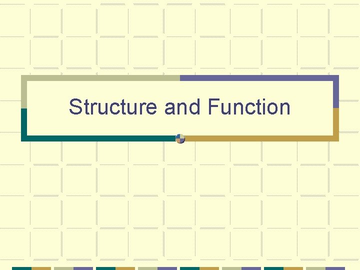 Structure and Function 