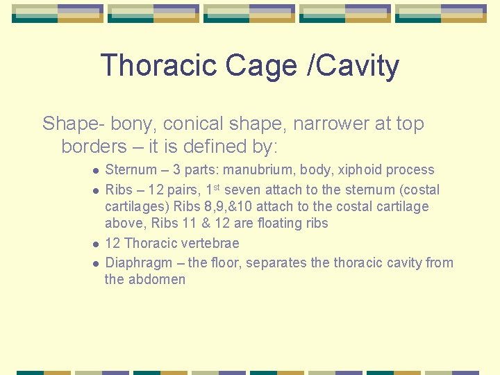 Thoracic Cage /Cavity Shape- bony, conical shape, narrower at top borders – it is