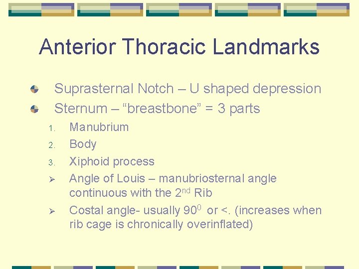 Anterior Thoracic Landmarks Suprasternal Notch – U shaped depression Sternum – “breastbone” = 3