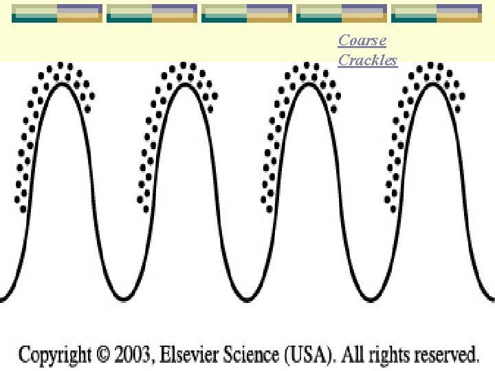 Coarse Crackles 