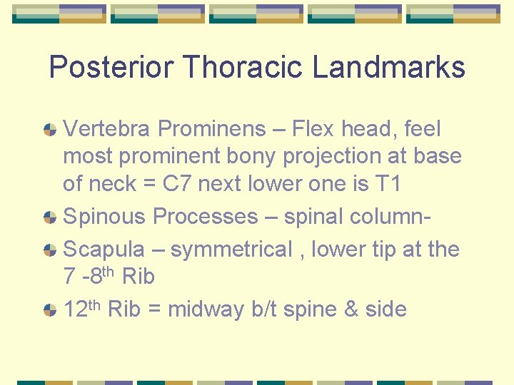 Posterior Thoracic Landmarks Vertebra Prominens – Flex head, feel most prominent bony projection at