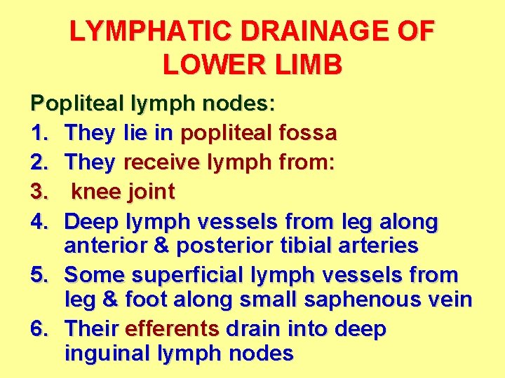 LYMPHATIC DRAINAGE OF LOWER LIMB Popliteal lymph nodes: 1. They lie in popliteal fossa