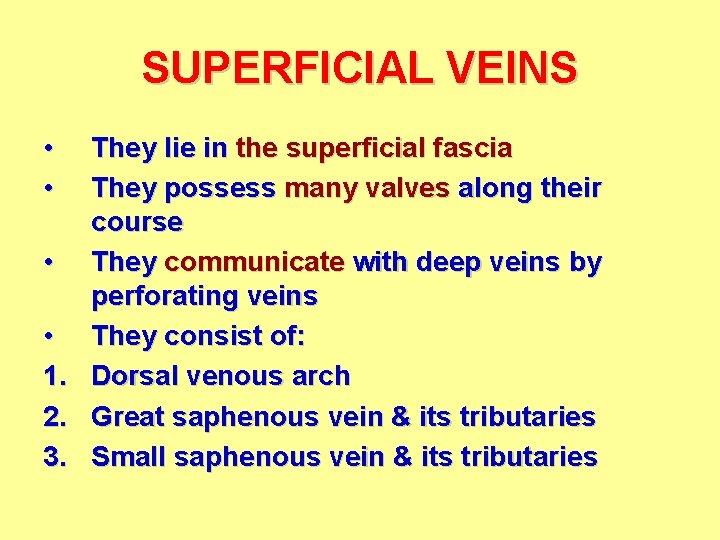 SUPERFICIAL VEINS • • They lie in the superficial fascia They possess many valves