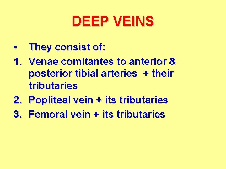 DEEP VEINS • They consist of: 1. Venae comitantes to anterior & posterior tibial