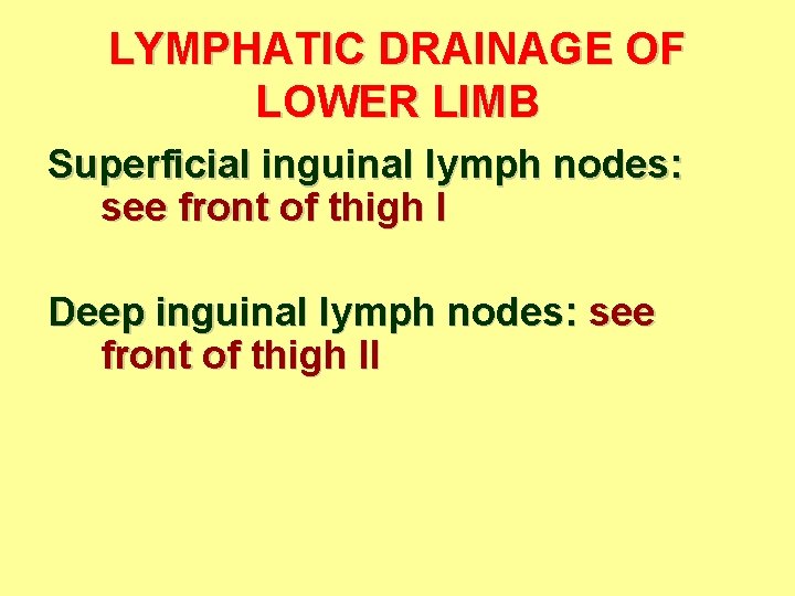 LYMPHATIC DRAINAGE OF LOWER LIMB Superficial inguinal lymph nodes: see front of thigh I