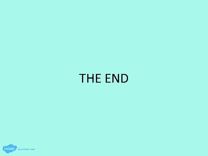 THE END 