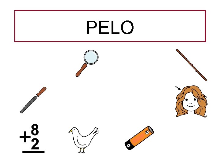 PELO 