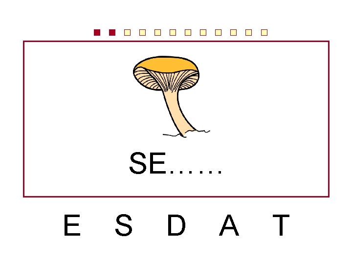 SE…… E S D A T 