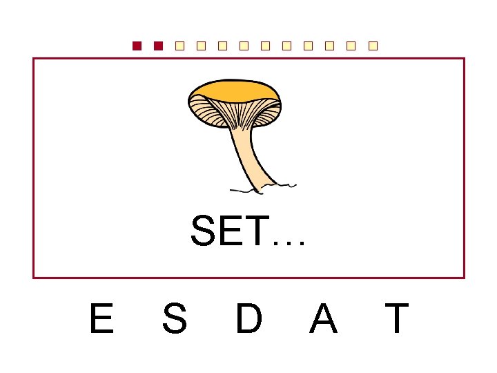 SET… E S D A T 