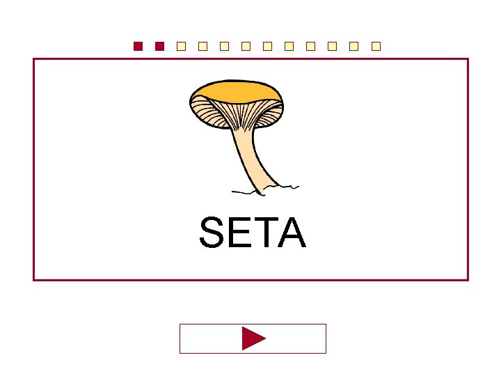 SETA 