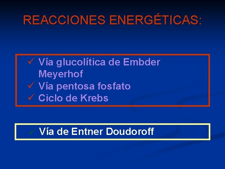 REACCIONES ENERGÉTICAS: ü Vía glucolítica de Embder Meyerhof ü Vía pentosa fosfato ü Ciclo