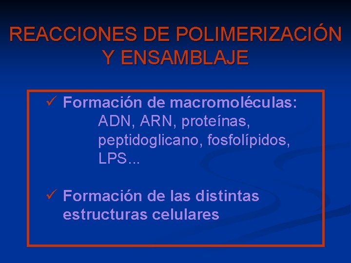 REACCIONES DE POLIMERIZACIÓN Y ENSAMBLAJE ü Formación de macromoléculas: ADN, ARN, proteínas, peptidoglicano, fosfolípidos,