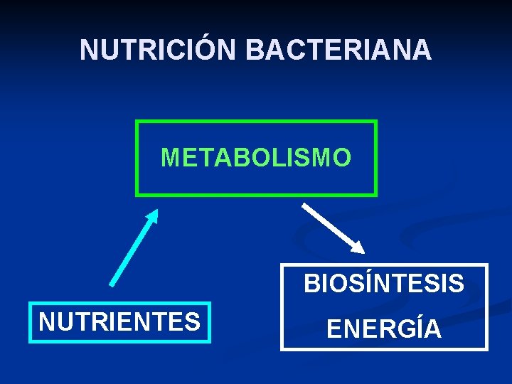 NUTRICIÓN BACTERIANA METABOLISMO BIOSÍNTESIS NUTRIENTES ENERGÍA 