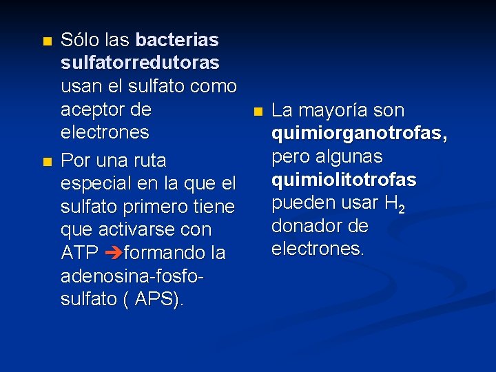 n n Sólo las bacterias sulfatorredutoras usan el sulfato como aceptor de electrones Por