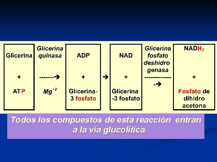 Todos los compuestos de esta reacción entran a la vía glucolítica. 