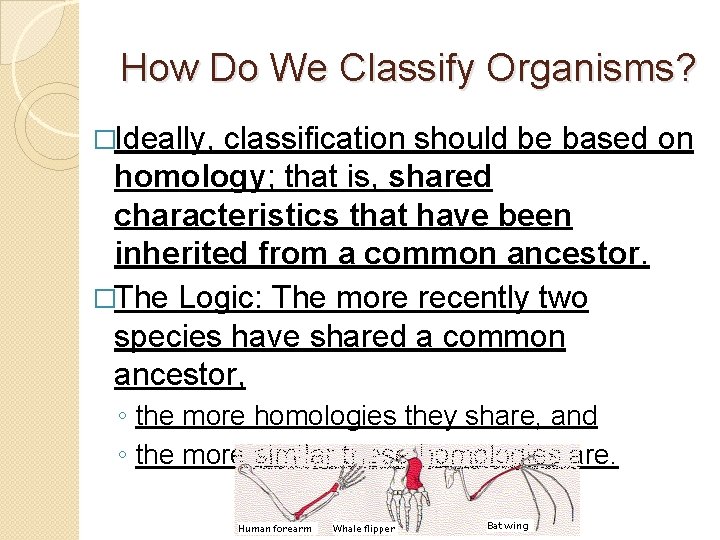 How Do We Classify Organisms? �Ideally, classification should be based on homology; that is,