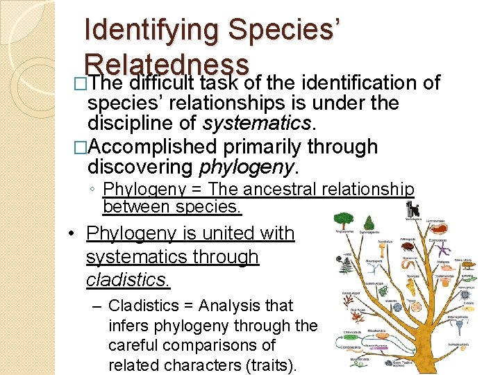 Identifying Species’ Relatedness �The difficult task of the identification of species’ relationships is under