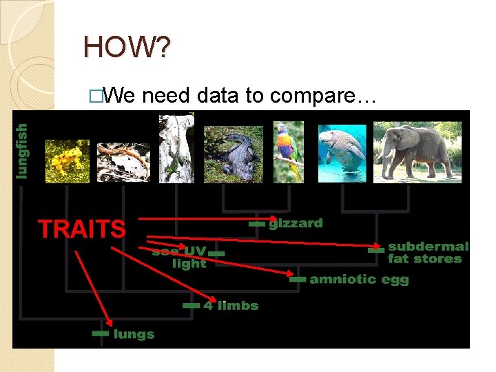 HOW? �We TRAITS need data to compare… 