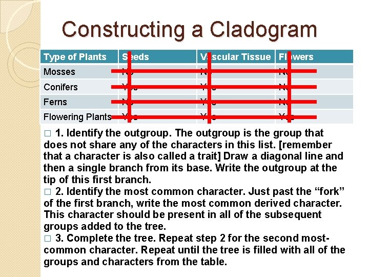 Constructing a Cladogram Type of Plants Seeds Vascular Tissue Flowers Mosses No No No