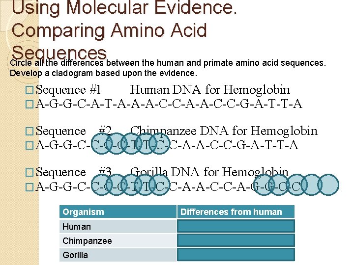 Using Molecular Evidence. Comparing Amino Acid Sequences Circle all the differences between the human