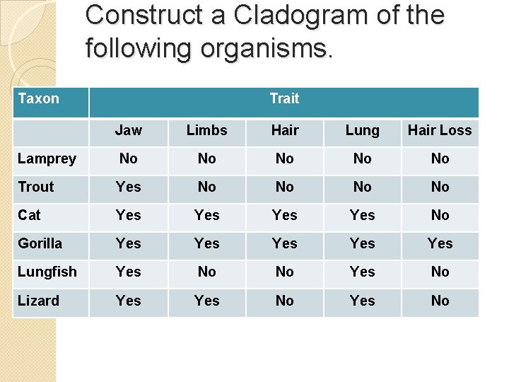 Construct a Cladogram of the following organisms. Taxon Trait Jaw Limbs Hair Lung Hair