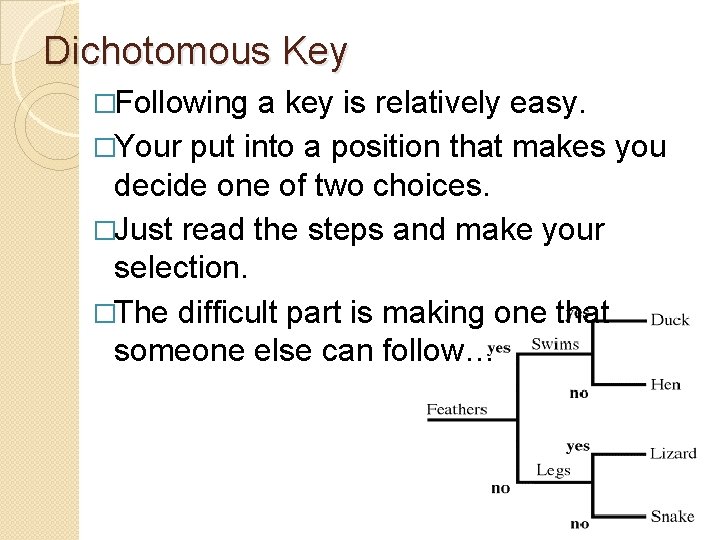 Dichotomous Key �Following a key is relatively easy. �Your put into a position that