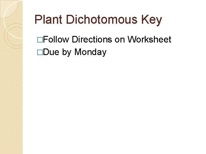 Plant Dichotomous Key �Follow Directions on Worksheet �Due by Monday 