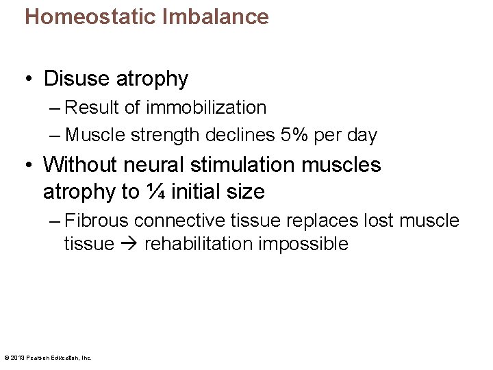 Homeostatic Imbalance • Disuse atrophy – Result of immobilization – Muscle strength declines 5%