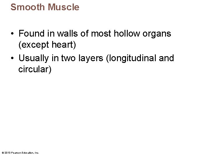Smooth Muscle • Found in walls of most hollow organs (except heart) • Usually