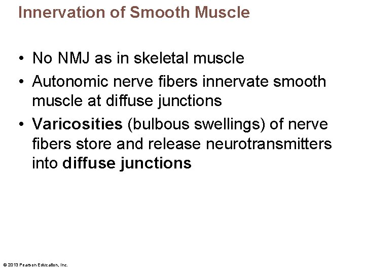 Innervation of Smooth Muscle • No NMJ as in skeletal muscle • Autonomic nerve