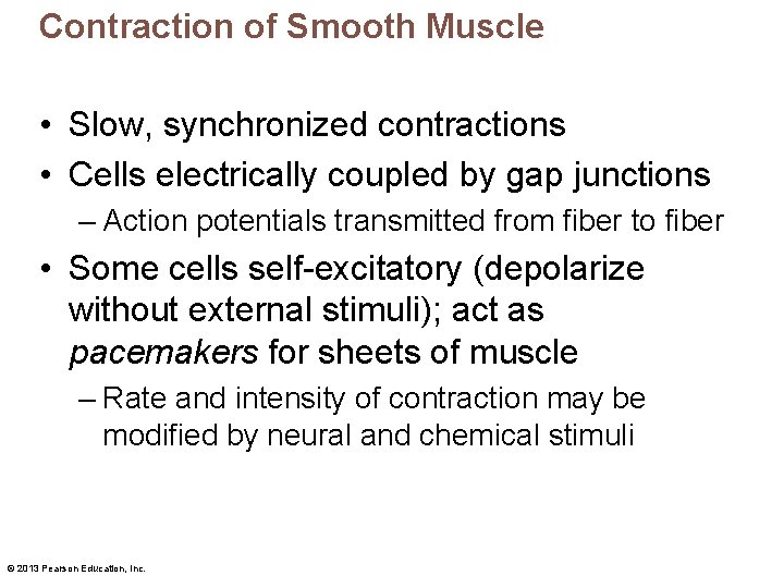 Contraction of Smooth Muscle • Slow, synchronized contractions • Cells electrically coupled by gap