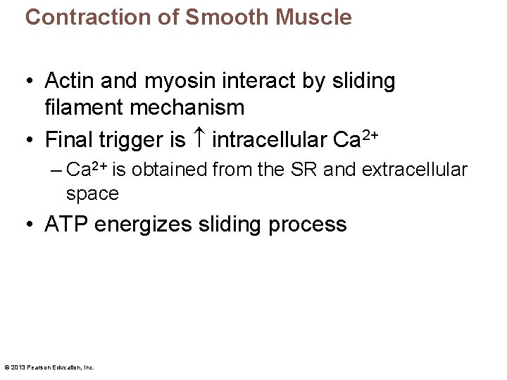 Contraction of Smooth Muscle • Actin and myosin interact by sliding filament mechanism •