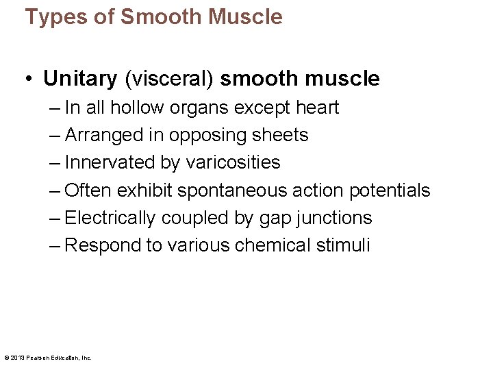 Types of Smooth Muscle • Unitary (visceral) smooth muscle – In all hollow organs