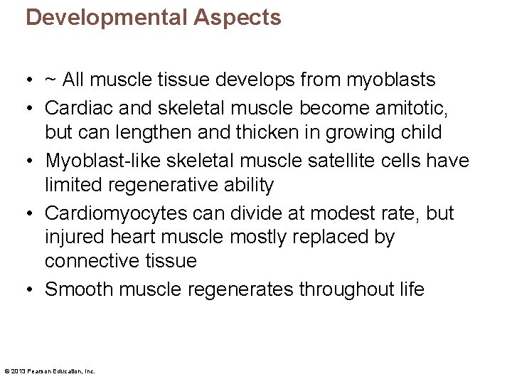 Developmental Aspects • ~ All muscle tissue develops from myoblasts • Cardiac and skeletal