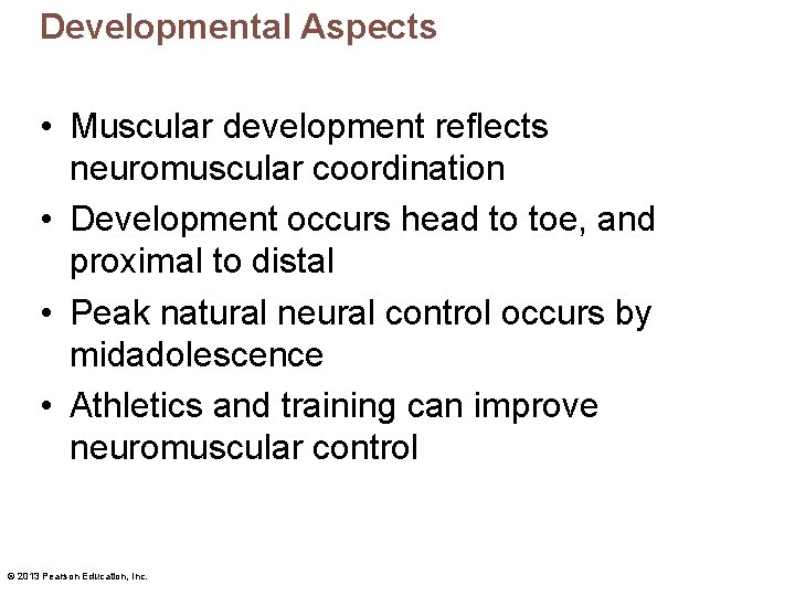 Developmental Aspects • Muscular development reflects neuromuscular coordination • Development occurs head to toe,