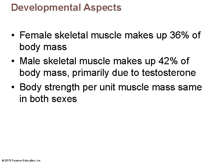 Developmental Aspects • Female skeletal muscle makes up 36% of body mass • Male