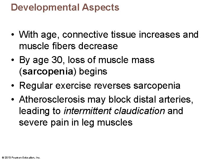 Developmental Aspects • With age, connective tissue increases and muscle fibers decrease • By