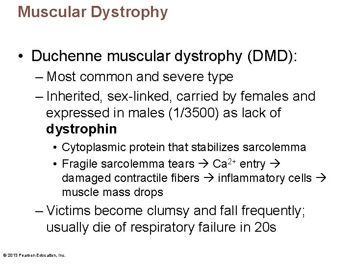 Muscular Dystrophy • Duchenne muscular dystrophy (DMD): – Most common and severe type –