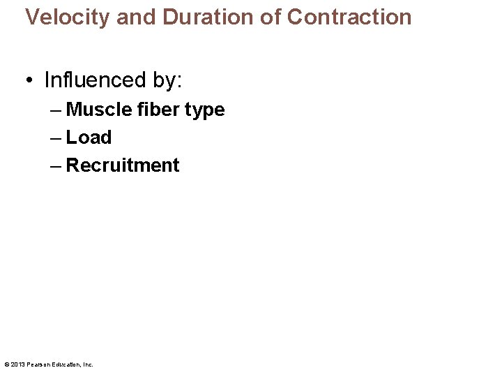 Velocity and Duration of Contraction • Influenced by: – Muscle fiber type – Load